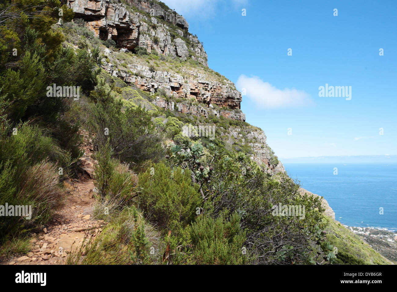 Diagonal hiking trail on Table Mountain with Camps Bay in the background Stock Photo