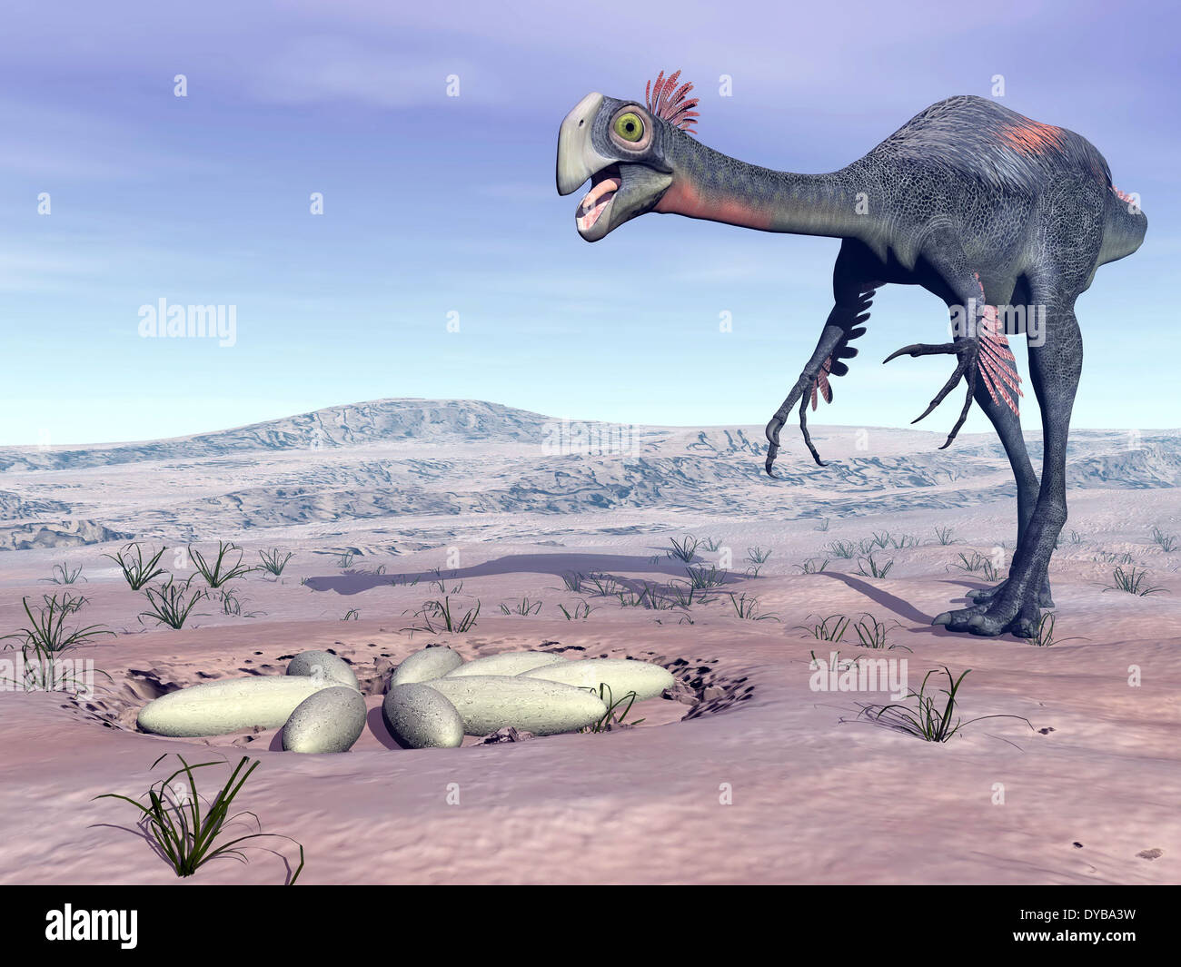 Female Gigantoraptor dinosaur walking to its nest full of eggs in the desert. Stock Photo
