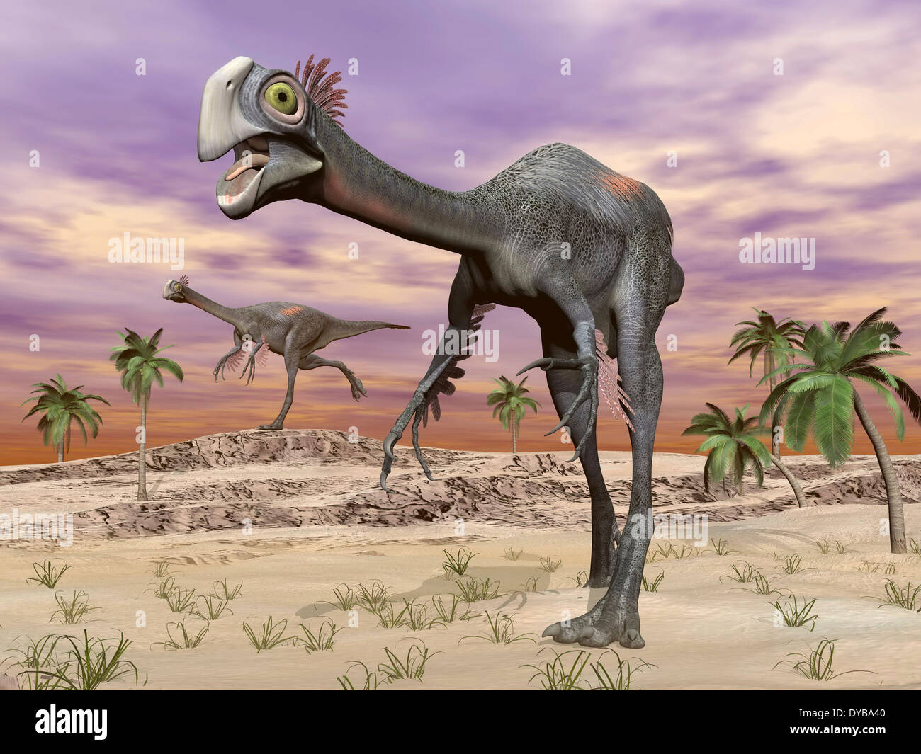 Two gigantoraptor dinosaurs walking in the desert. Stock Photo