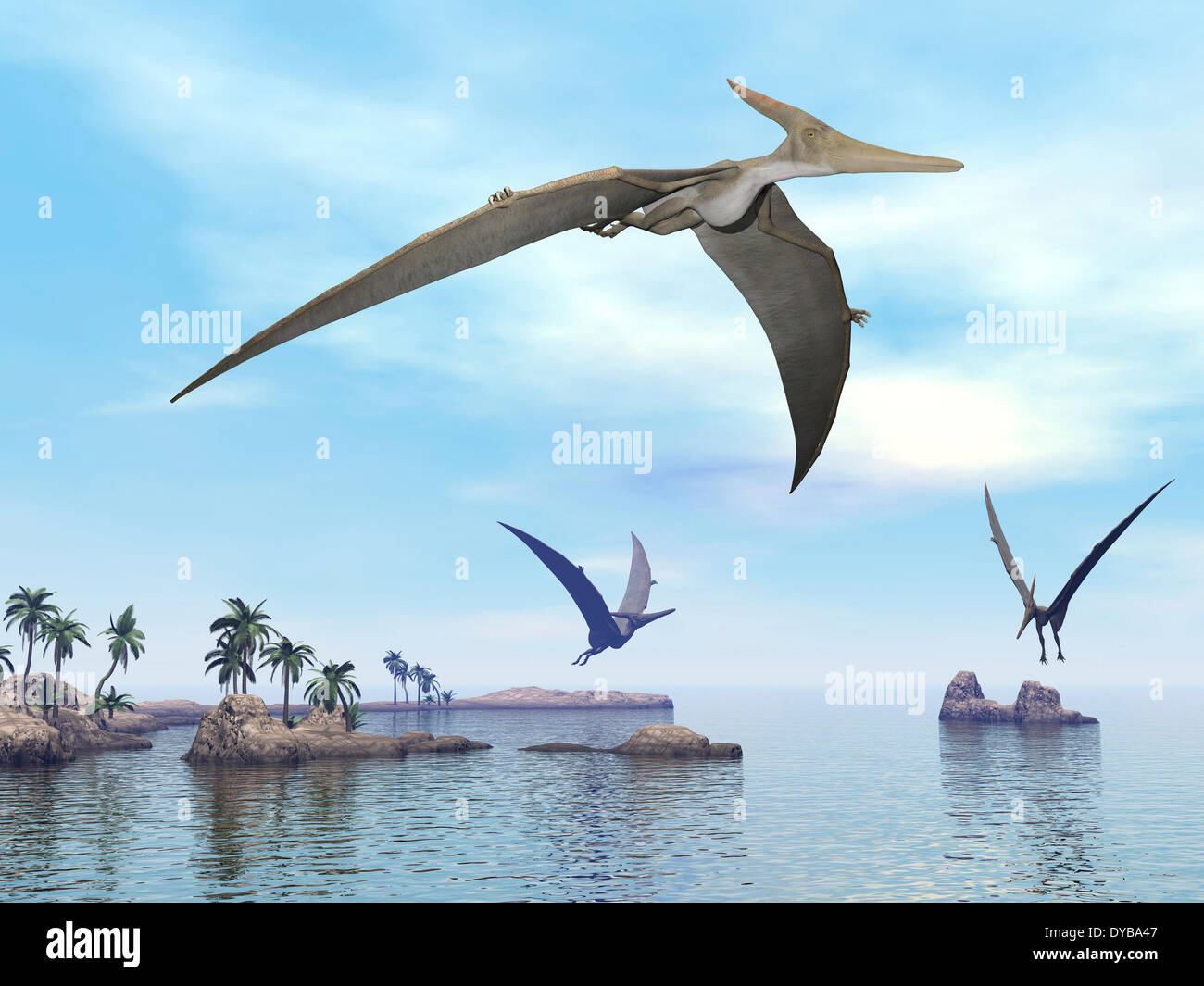 Pterodactyl Pteranodon Flying Isolated Over White Stock Illustration  14988157