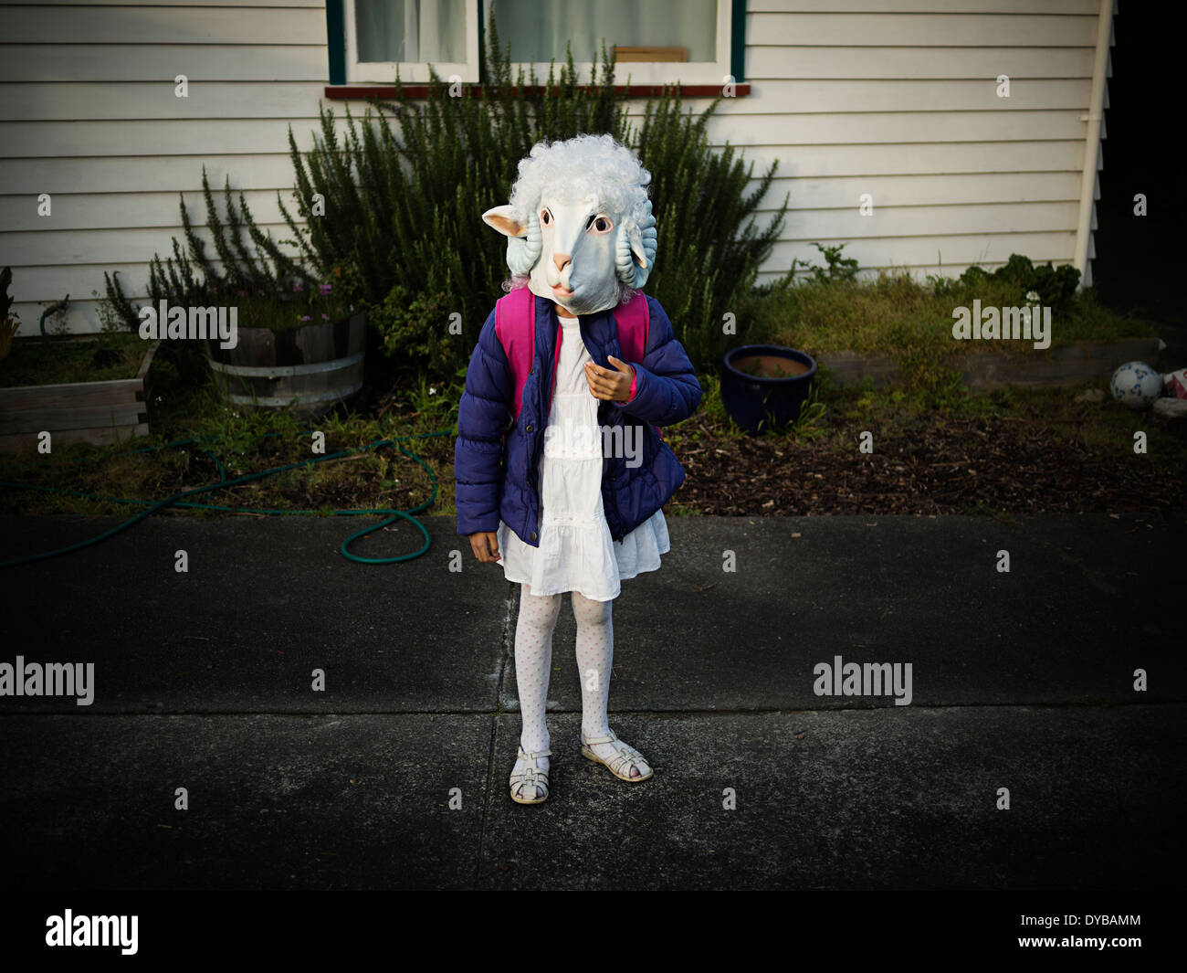 Dress up day at school: girl sets off on walk to school dressed as a sheep Stock Photo