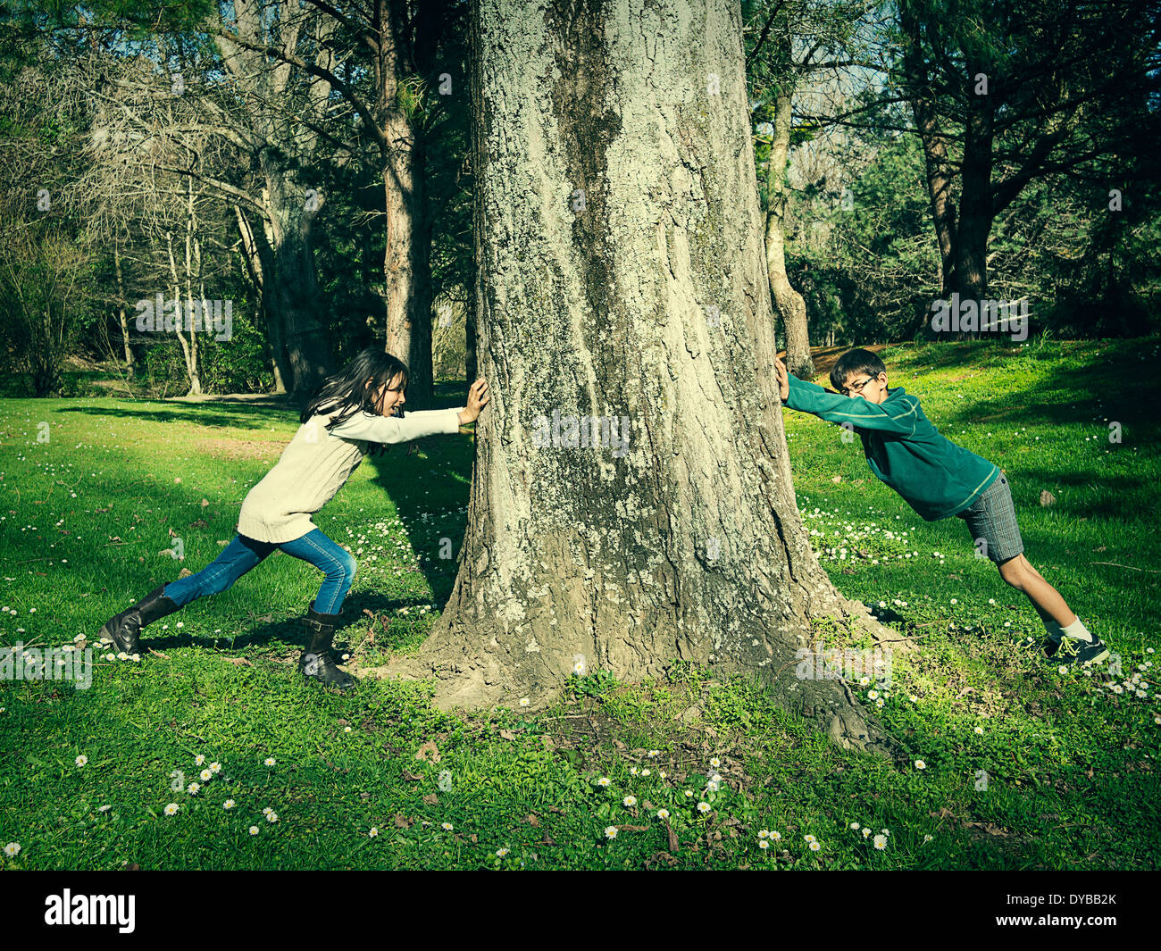 Opposing force: boy and girl push tree Stock Photo