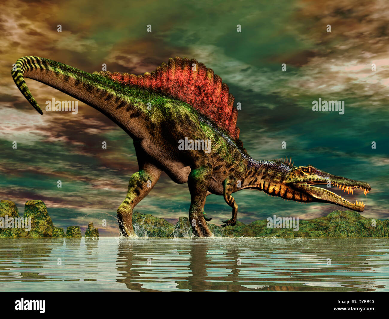 Spinosaurus was a large theropod dinosaur from the Cretaceous period. Stock Photo
