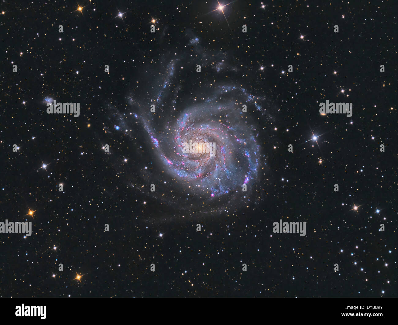 Messier 101, the Pinwheel Galaxy. Stock Photo