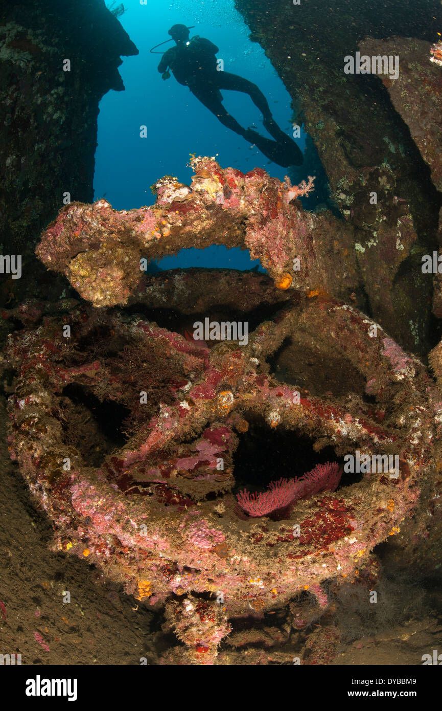 Coral encrusted wreckage on the Liberty Wreck, Tulamben, Bali, Indonesia. Stock Photo