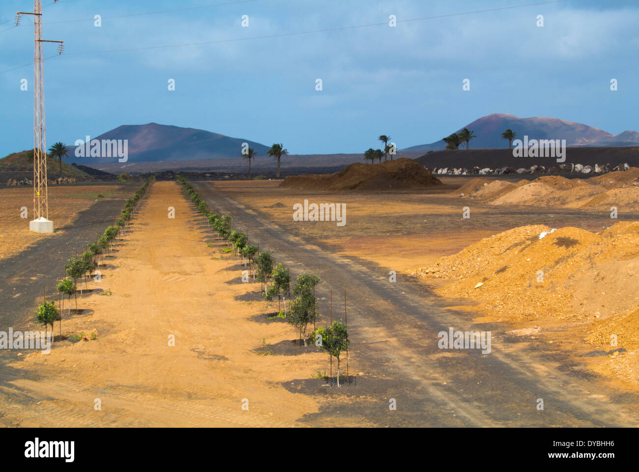 Landscape between Uga and Yaiza, Yaiza county, Lanzarote, Canary Islands, Spain, Europe Stock Photo
