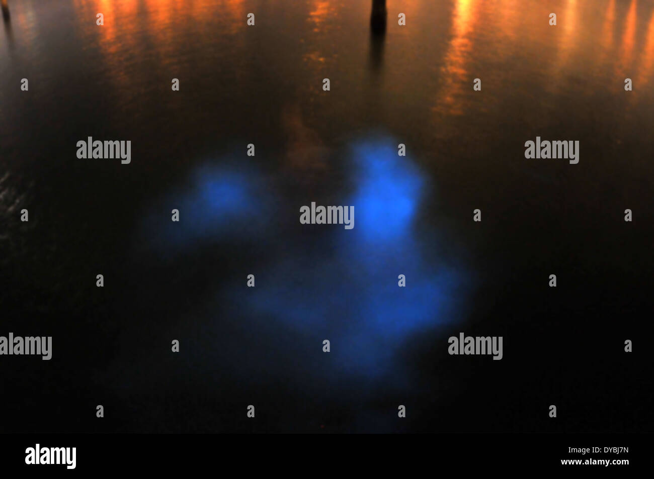 Bioluminescence sea hires stock photography and images Alamy