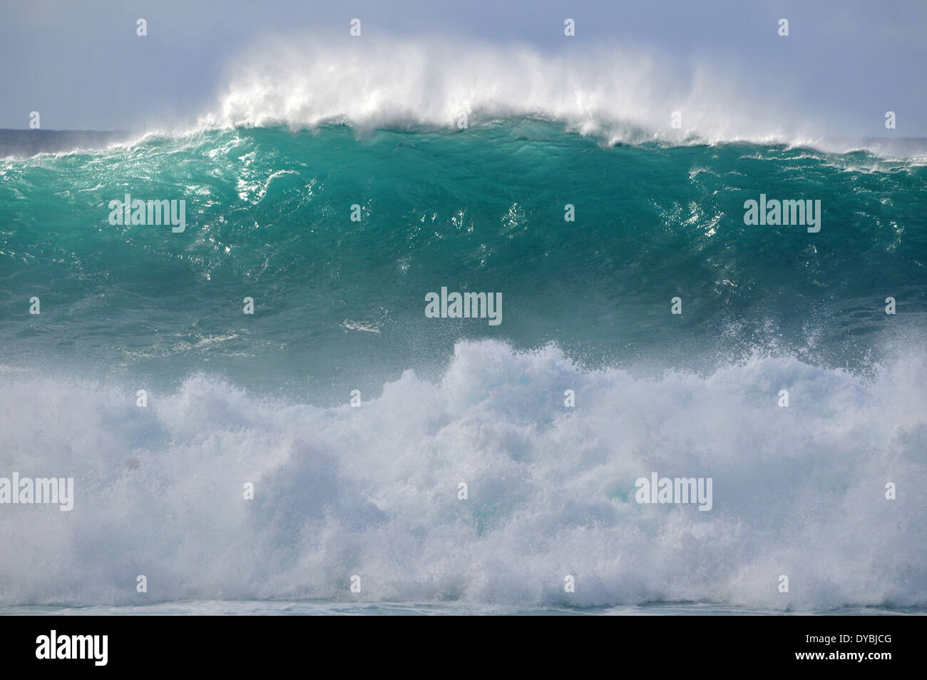 Perfect giant wave in Pipeline, Ehukai Beach, North Shore of Oahu, Hawaii, USA Stock Photo