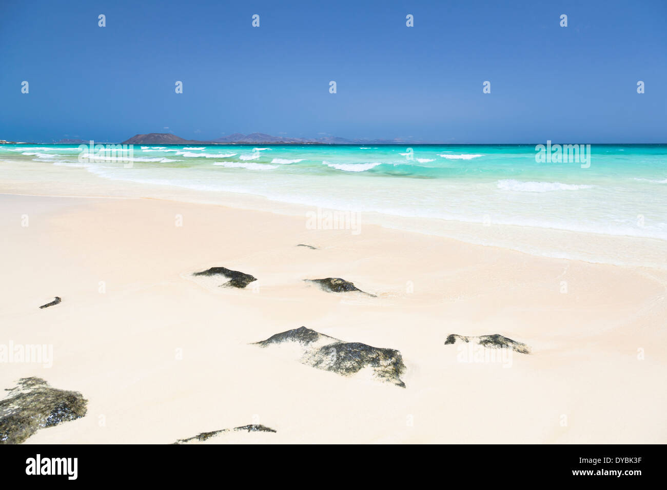 Playa de las Dunas de Corralejo in Fuerteventura, a perfect white beach with turquoise water and blue sky. Stock Photo