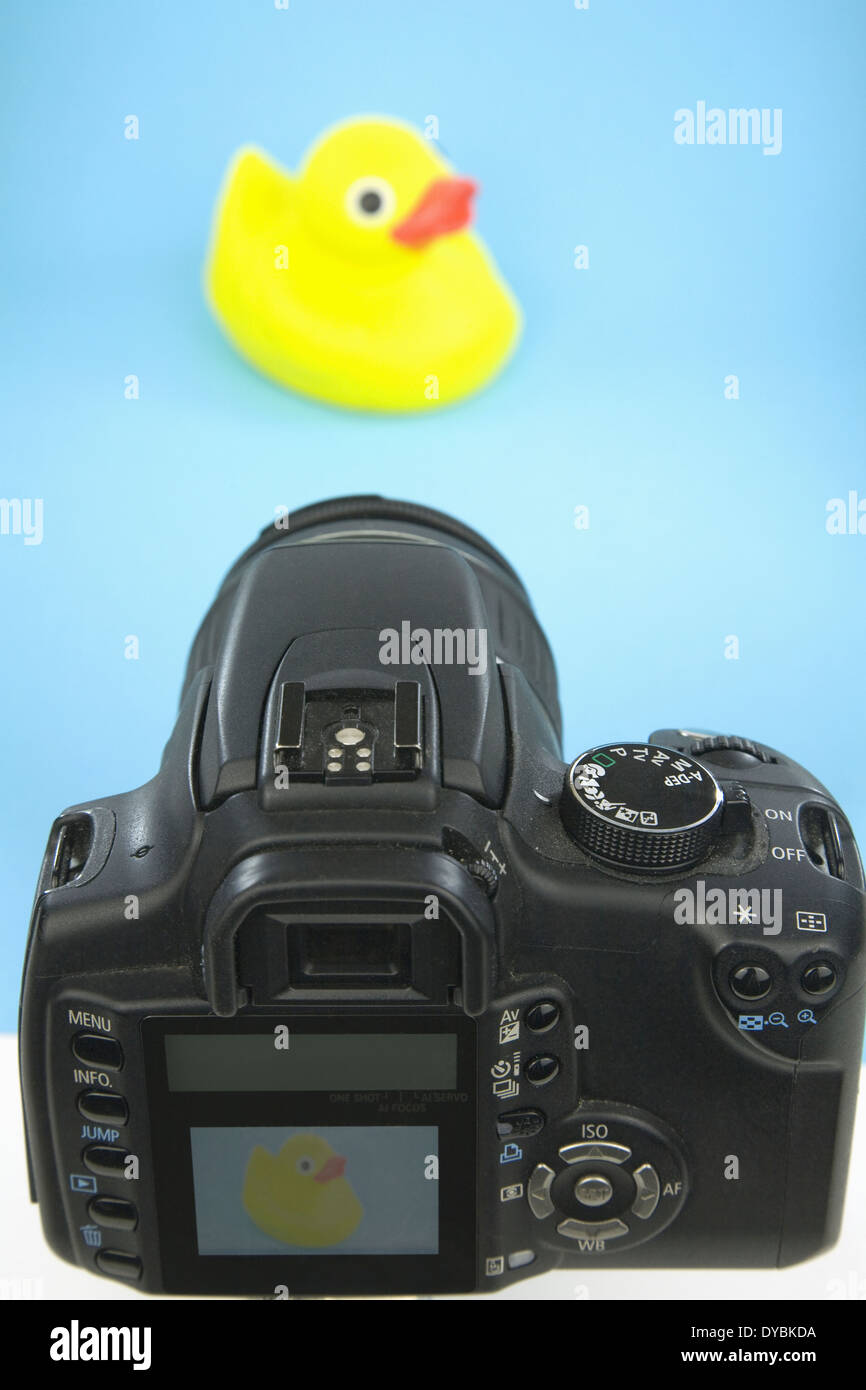 close up of a Digital SLR Camera taking a still life shot Stock Photo