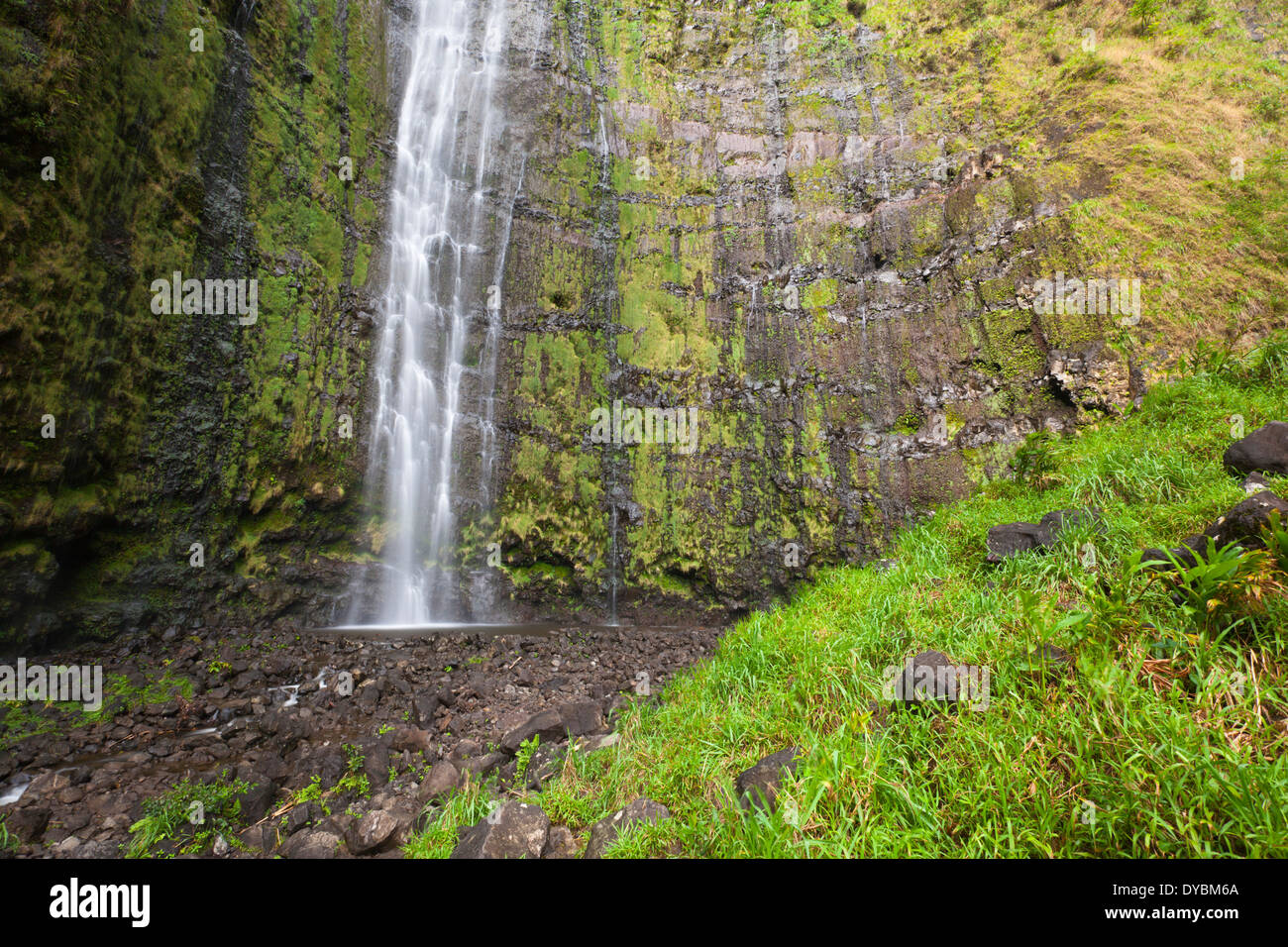 The famous Waimoku Falls in Maui, Hawaii with a height of more than 120 meters. Stock Photo