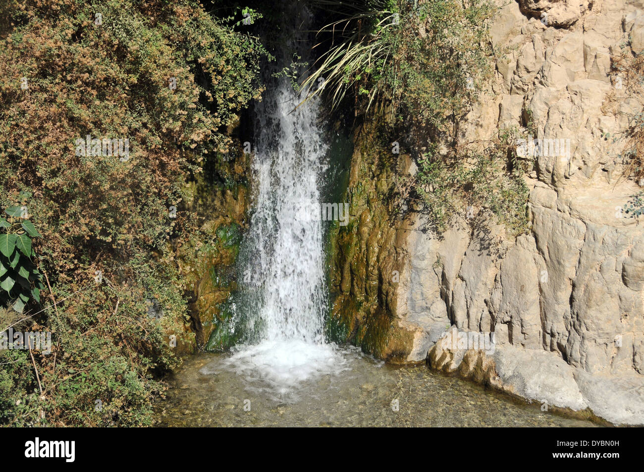 Waterfall, Ein Gedi Nature Reserve and National Park, Israel Stock Photo
