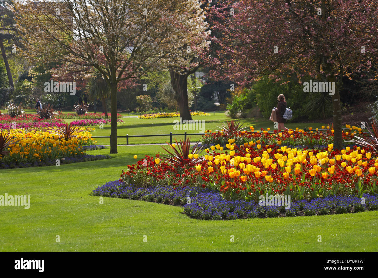 Spring flowers in bournemouth lower gardens hires stock photography