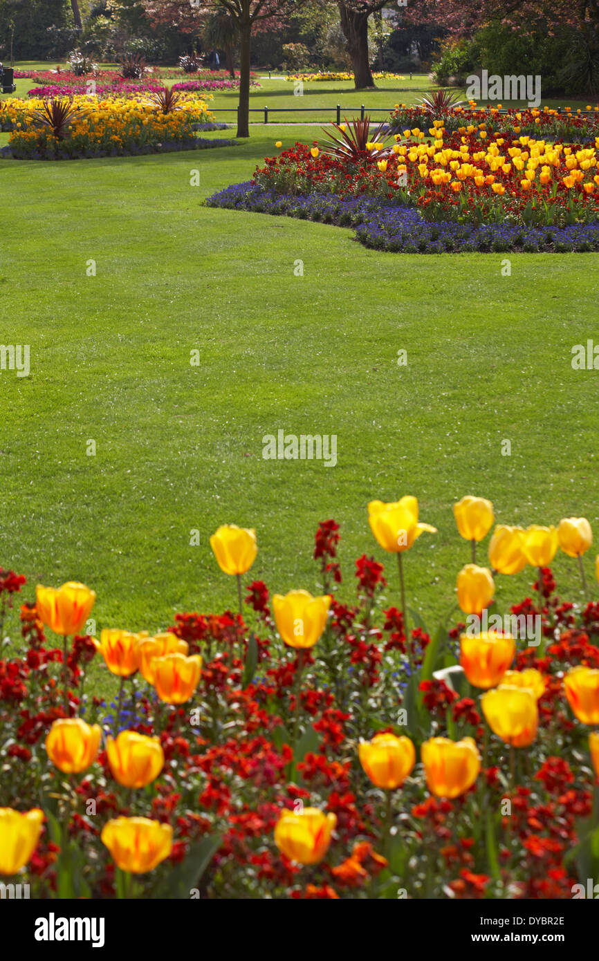 Spring flowers in bournemouth lower gardens hires stock photography