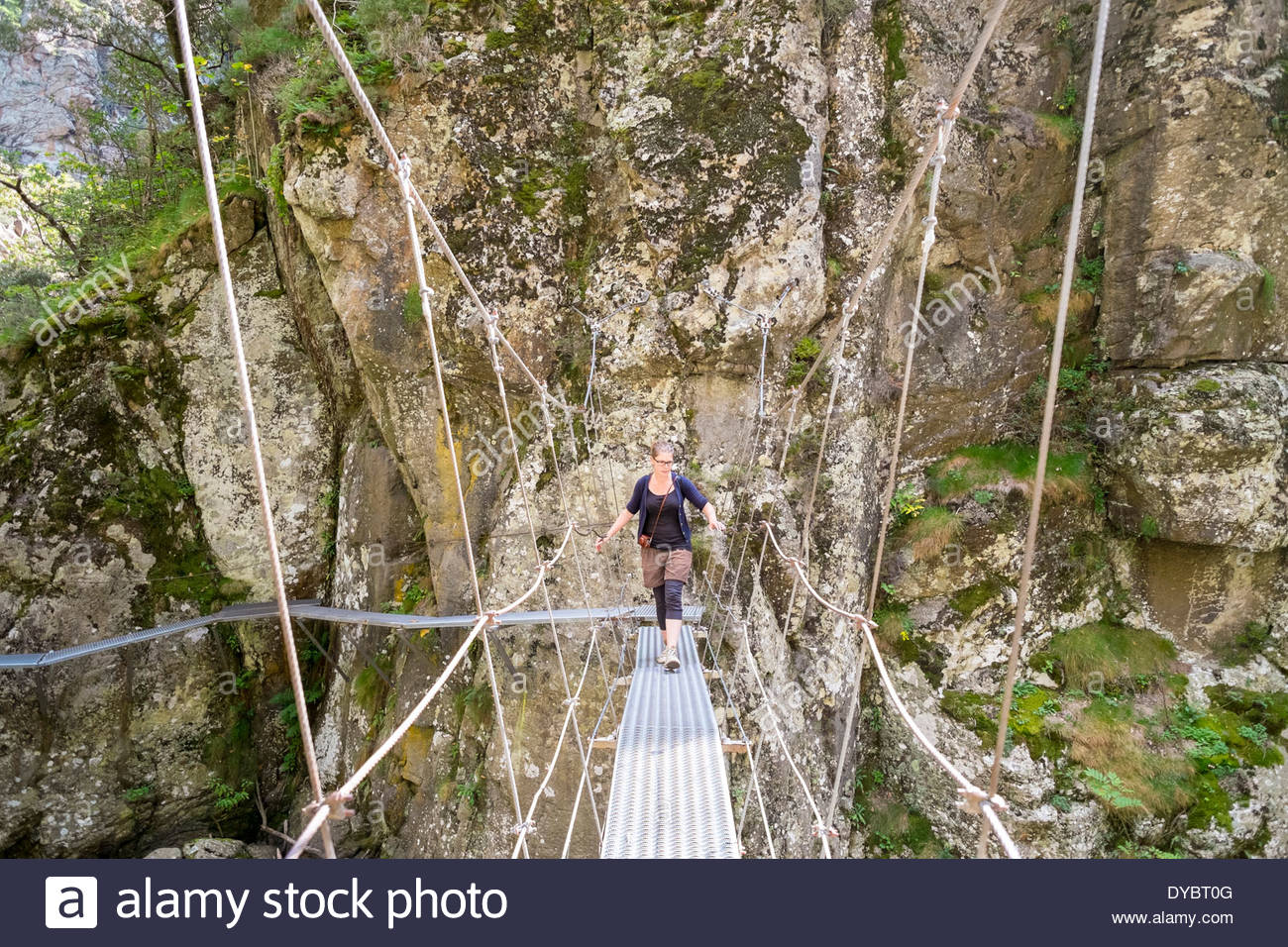 Trecking Bridge Trekker On Hiking Trail High Resolution Stock Photography and Images ...