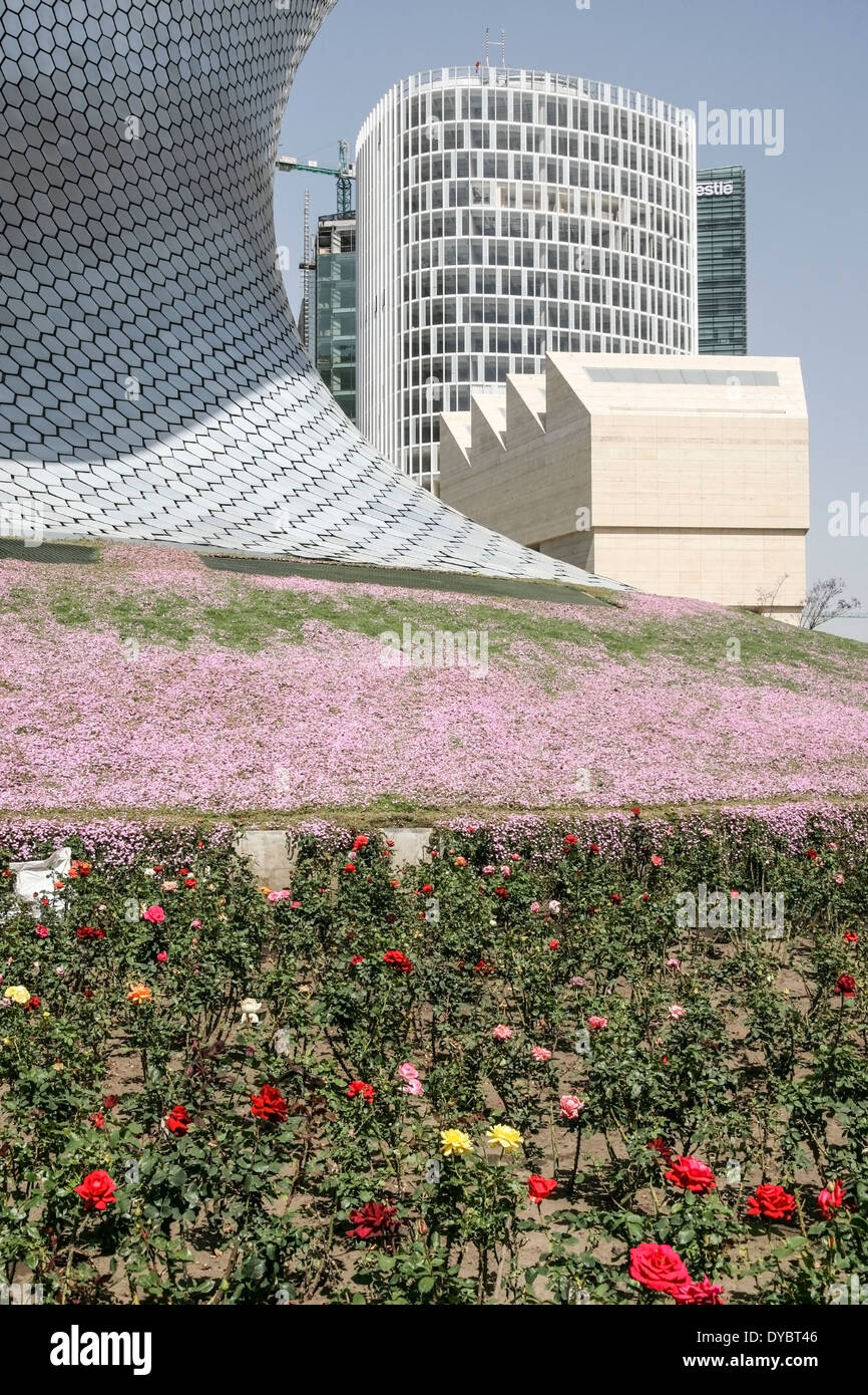 base of curvelinear Museo Soumaya meets ground of blooming flowers as it frames upper part & sawtooth roof of Museo Jumex Stock Photo