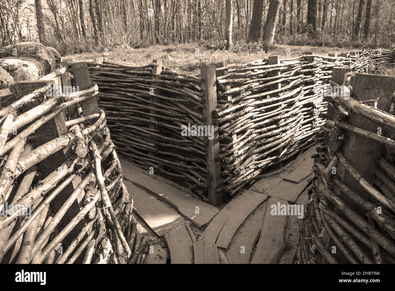 Belgian soldiers trench hi-res stock photography and images - Alamy
