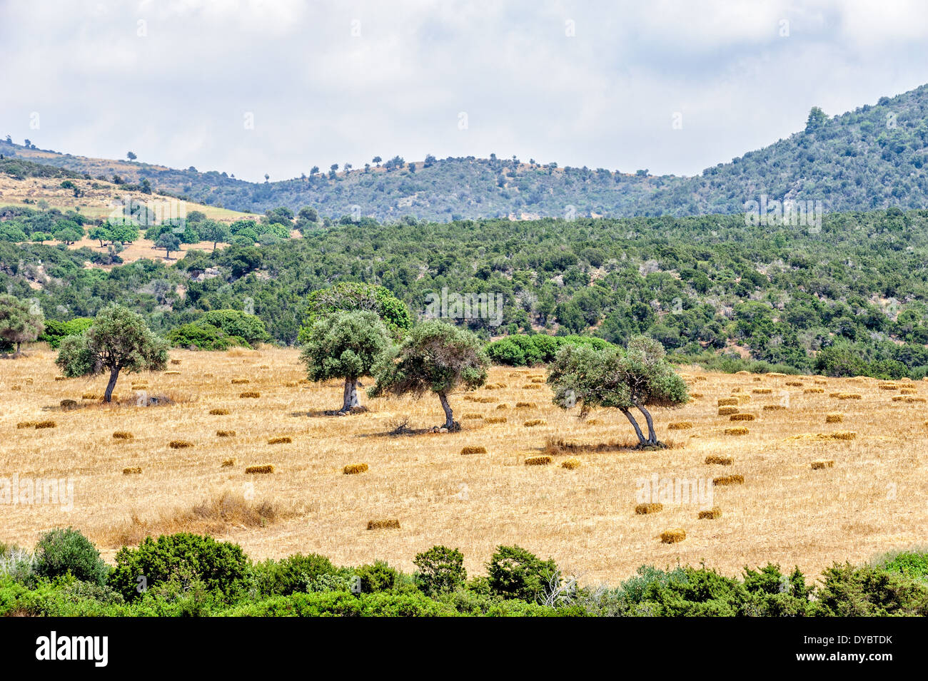 Typical cyprus scene hi-res stock photography and images - Alamy