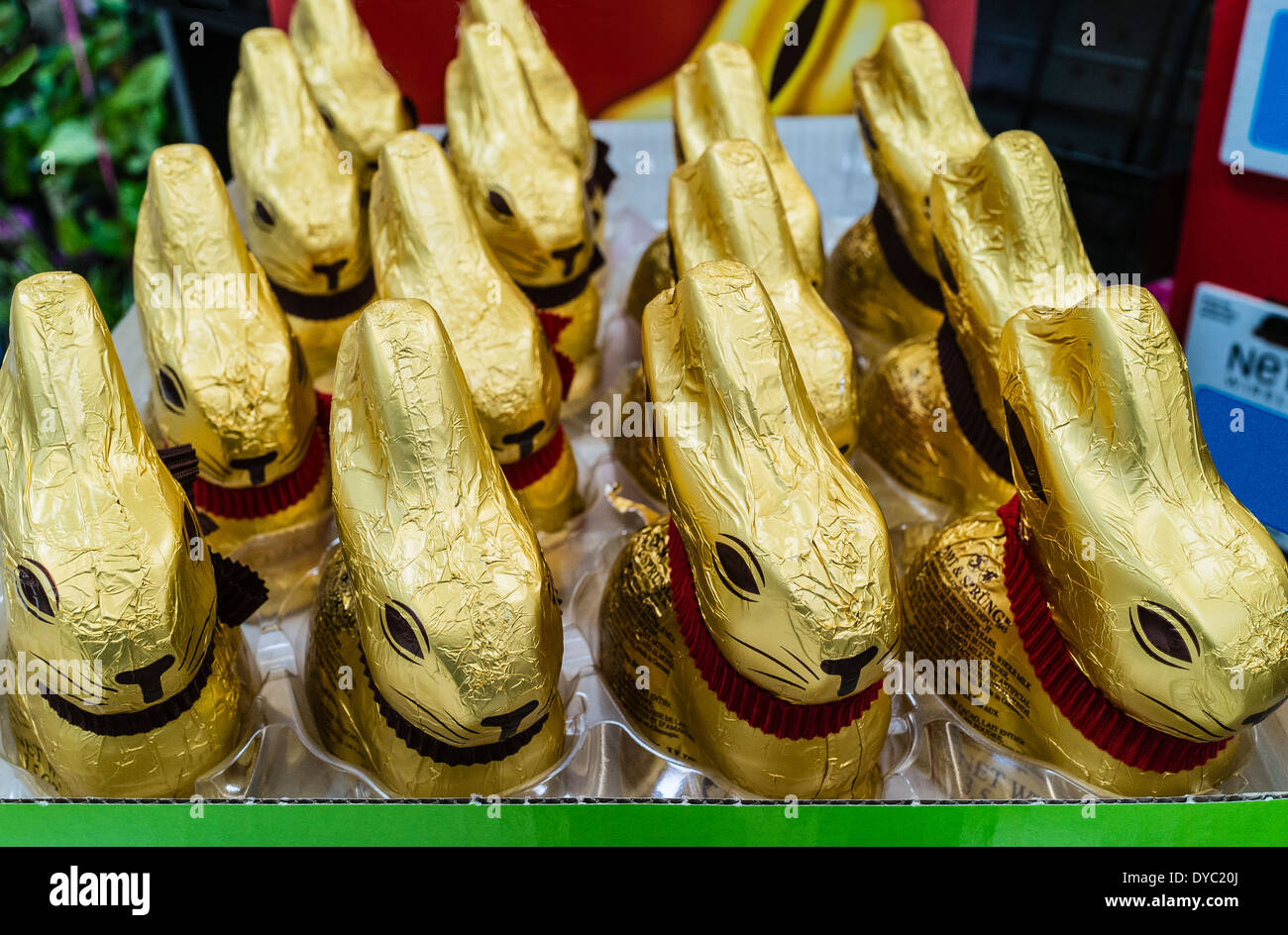 Gold foil wrapped chocolate Easter bunnies on display, for sale in a