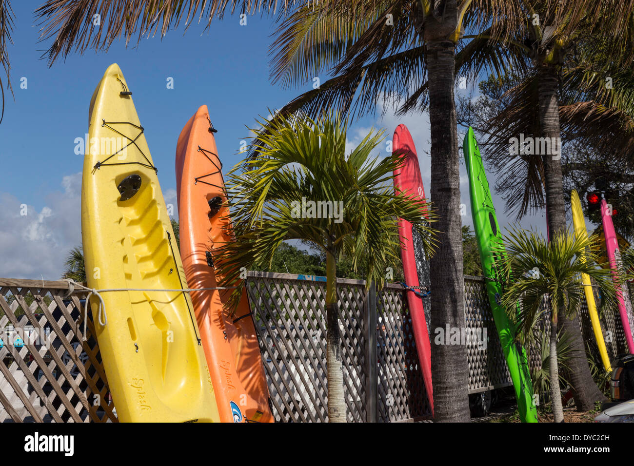 Kayak and Water Board Rental and Palm Trees, Casey Key, Florida, USA