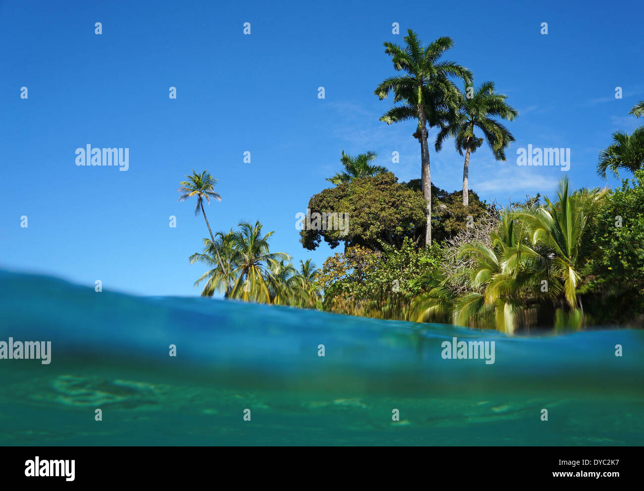 Exotic coast with dense tropical vegetation viewed from water surface of the Caribbean sea Stock Photo