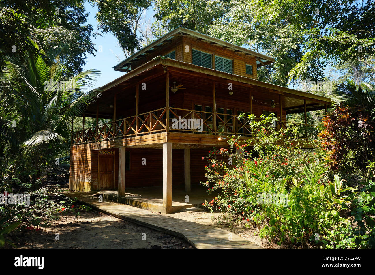 Jungle Tree House Bocas Del Toro Margaret Wiegel
