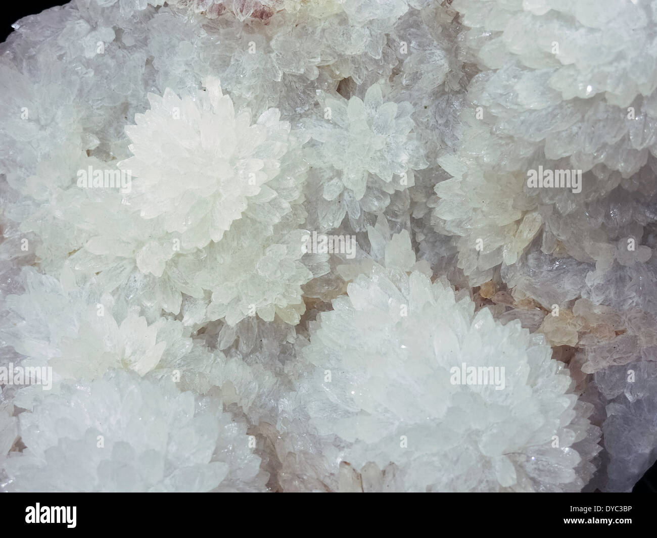 Mineral Display , Precious Gem Store, NYC, USA Stock Photo Alamy