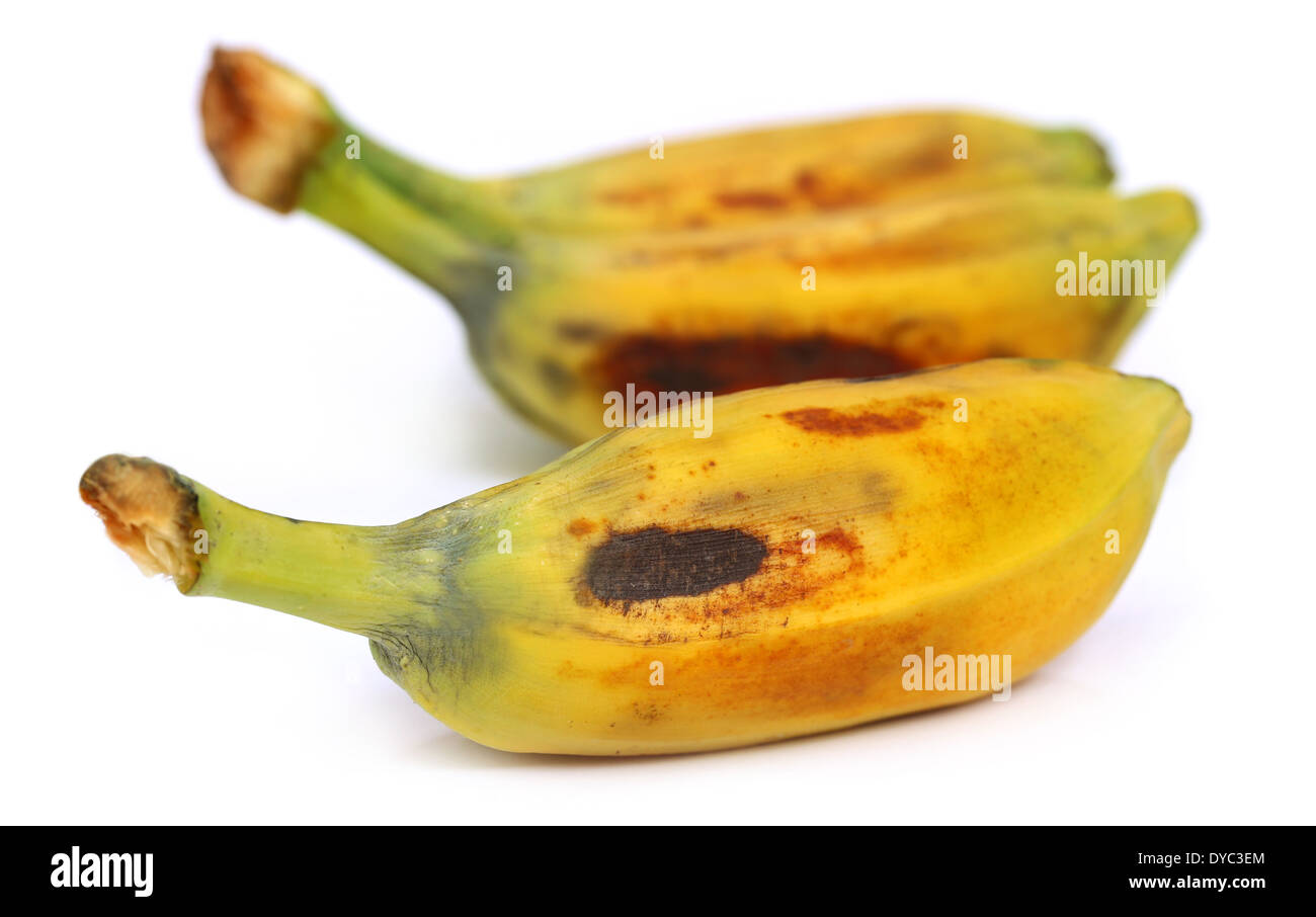 Musa balbisiana A wild banana of Southeast Asia Stock Photo Alamy