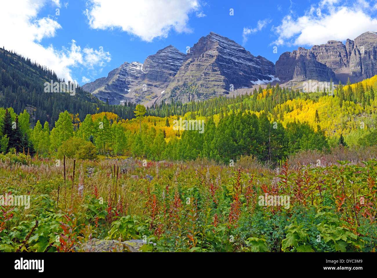 Fall Foliage with Aspen Trees, Maroon Bells, Colorado Rocky Mountains