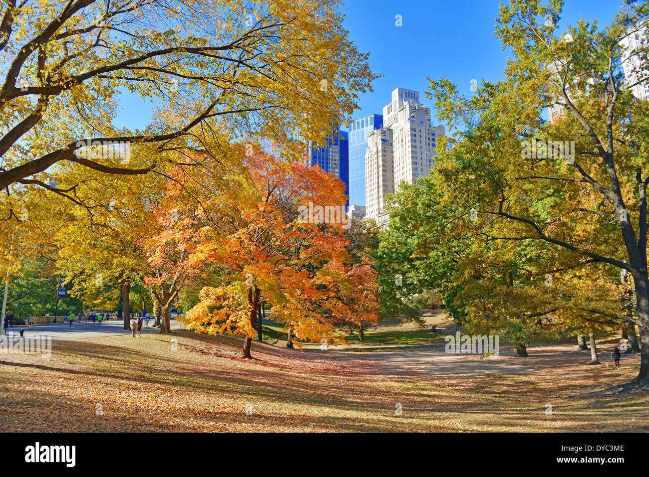 Autumn Color: Fall Foliage in Central Park, Manhattan New York Stock ...