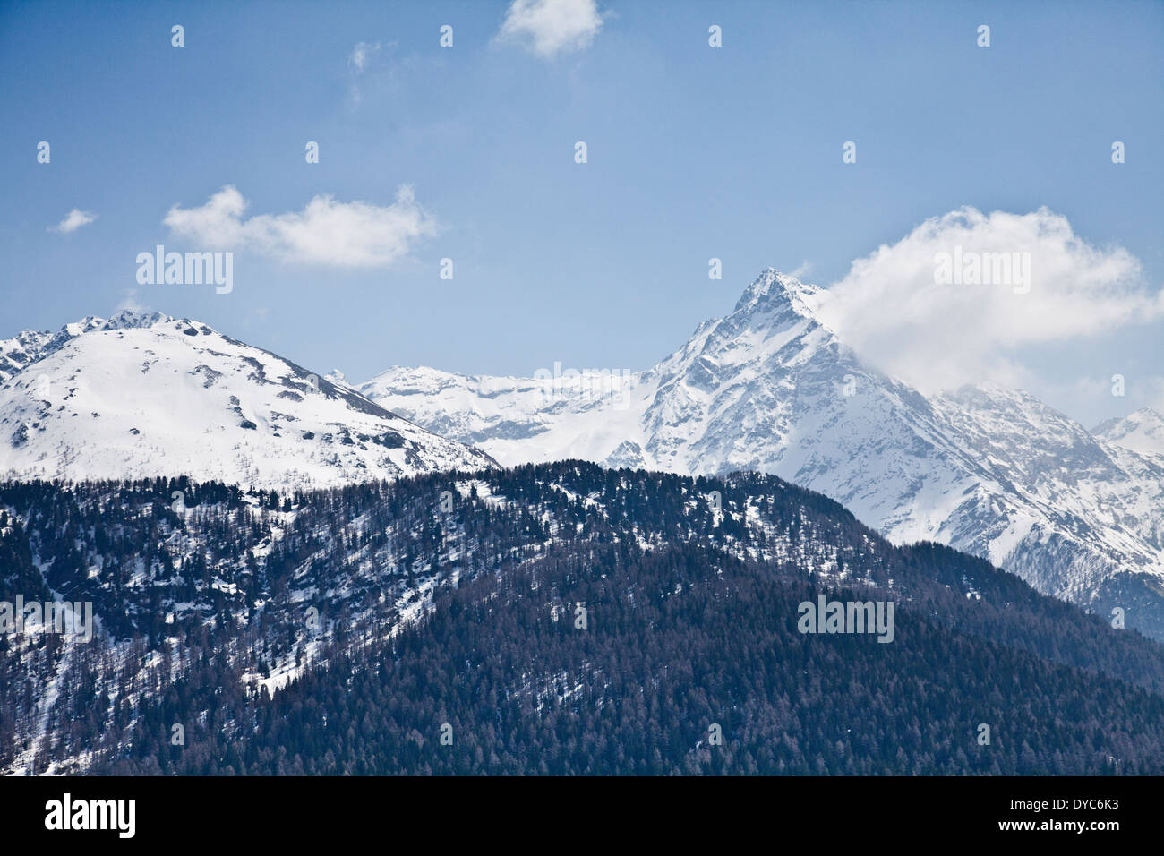 Woodland mountains hi-res stock photography and images - Alamy