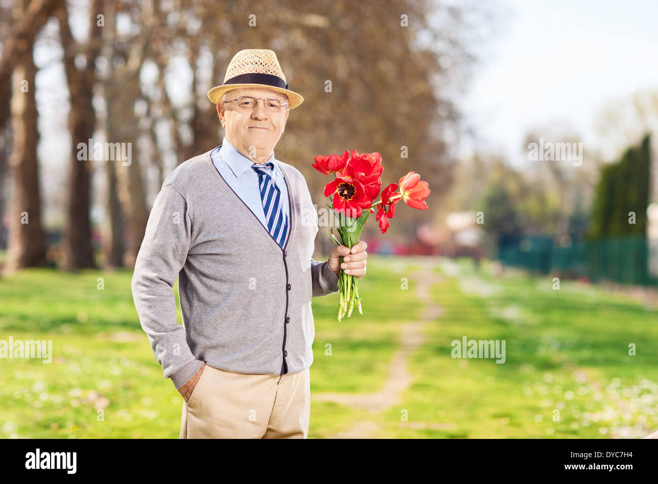 Senior male holding bouquet of red tulips in park Stock Photo