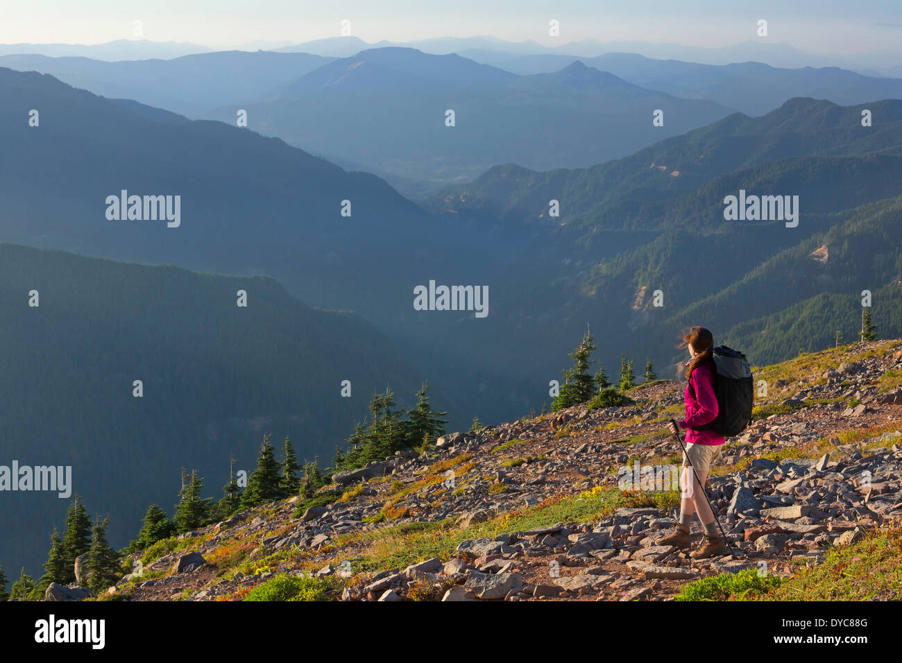 A woman backpacks with a Six Moon Design backpack on the Pacific Crest Trail in Oregon Summer USA Cory Lahr is the model Model Stock Photo