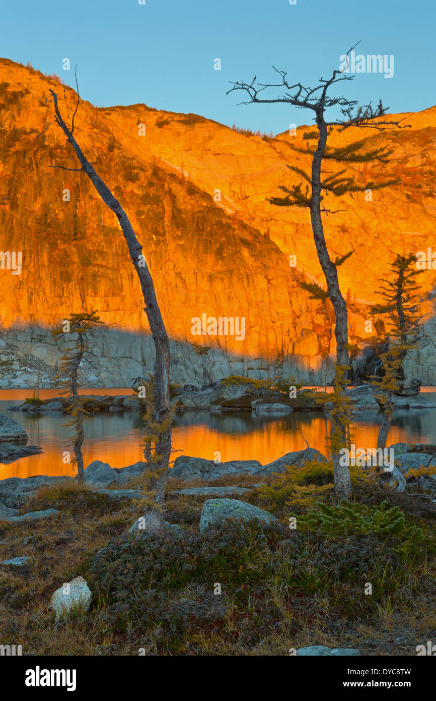 Larch are silhouetted along the cliffs of Perfection Lake at sunrise in the Enchantments section of the Alpine Lakes Wilderness Stock Photo