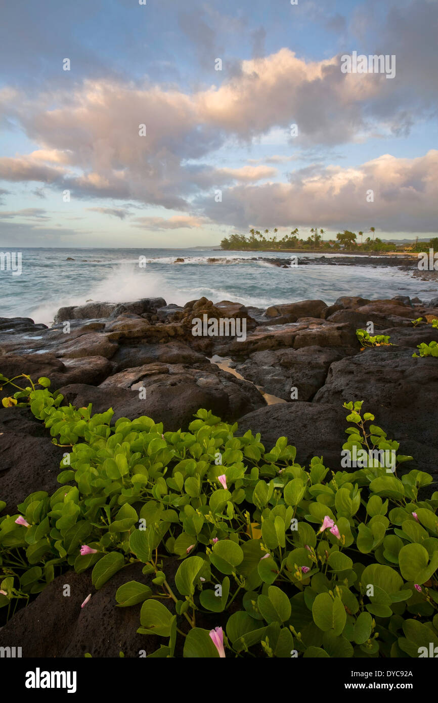 The morning shore at Poi Pu on the island of Kauai, Hawaii, USA. Stock Photo
