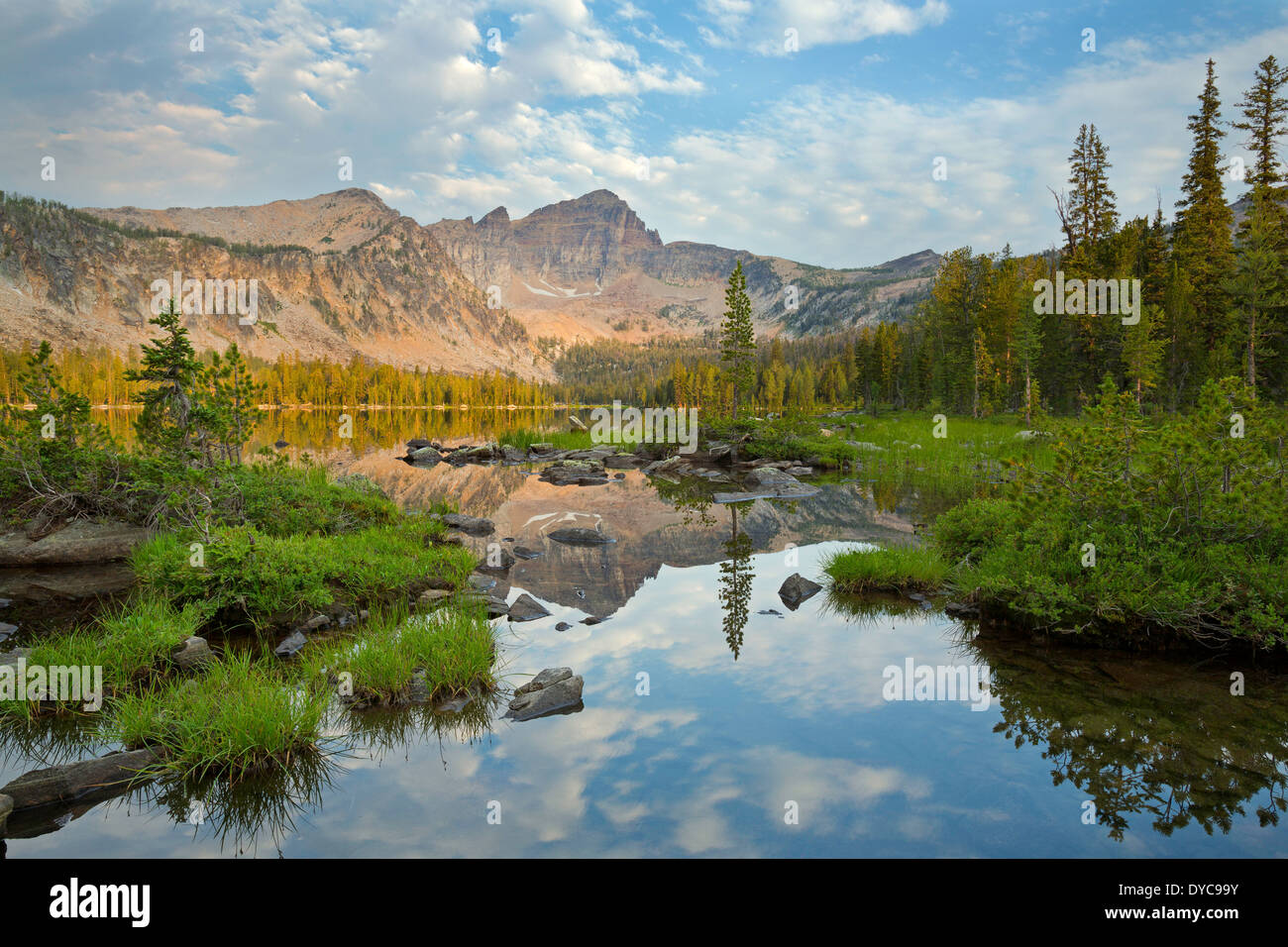 Warren Peak and Warren Lake in the Anaconda Pintler Wilderness of Montana. Summer. USA Stock Photo