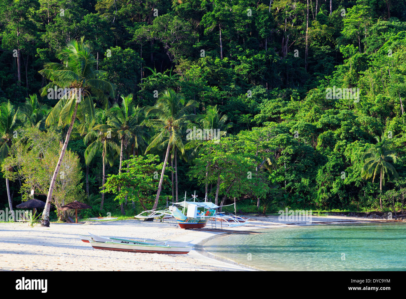 Philippines, Palawan, Port Barton, Turtle Bay Stock Photo