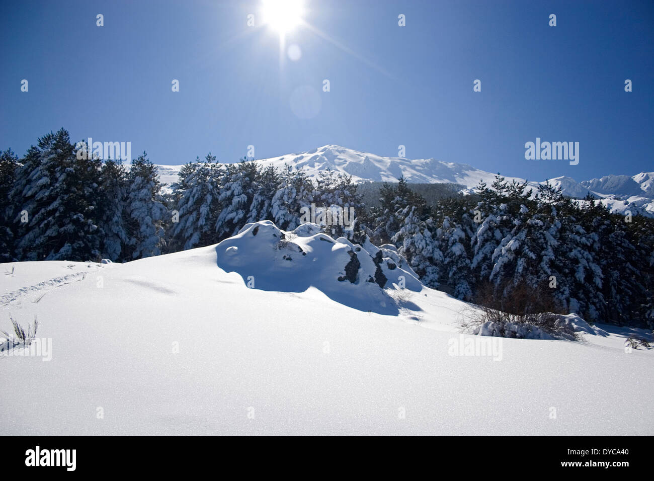 La Pinilla ski area, Ayllon mountain, Segovia, Spain Stock Photo