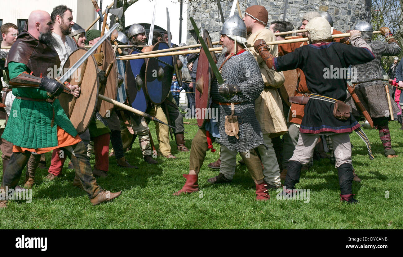 Vikings in Ireland