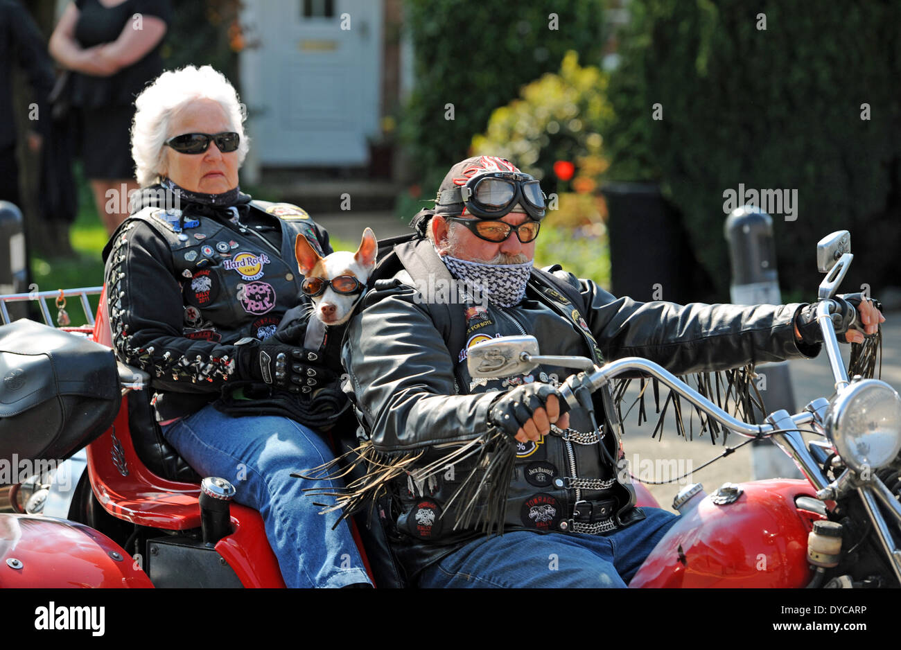 Motorcycle enthusiasts and their pet dog ride their bike at a friend Barry Flood's funeral in Ringmer Sussex UK Stock Photo
