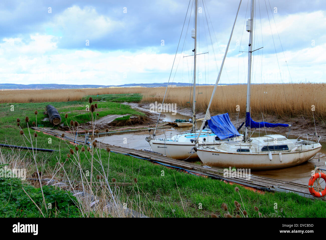 This is where the Romans crossed the river Humber at 'Flashmire' North Lincolnshre. 1 of 13 images. Stock Photo