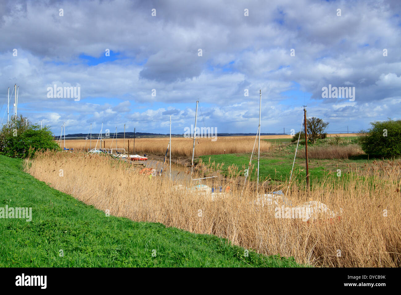 This is where the Romans crossed the river Humber at 'Flashmire' North Lincolnshre. 1 of 13 images. Stock Photo