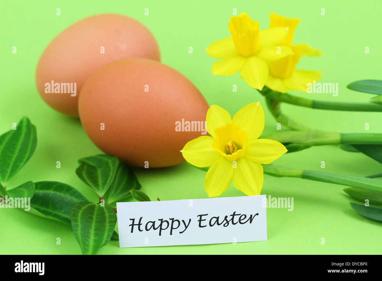 Happy Easter card with eggs and daffodils Stock Photo