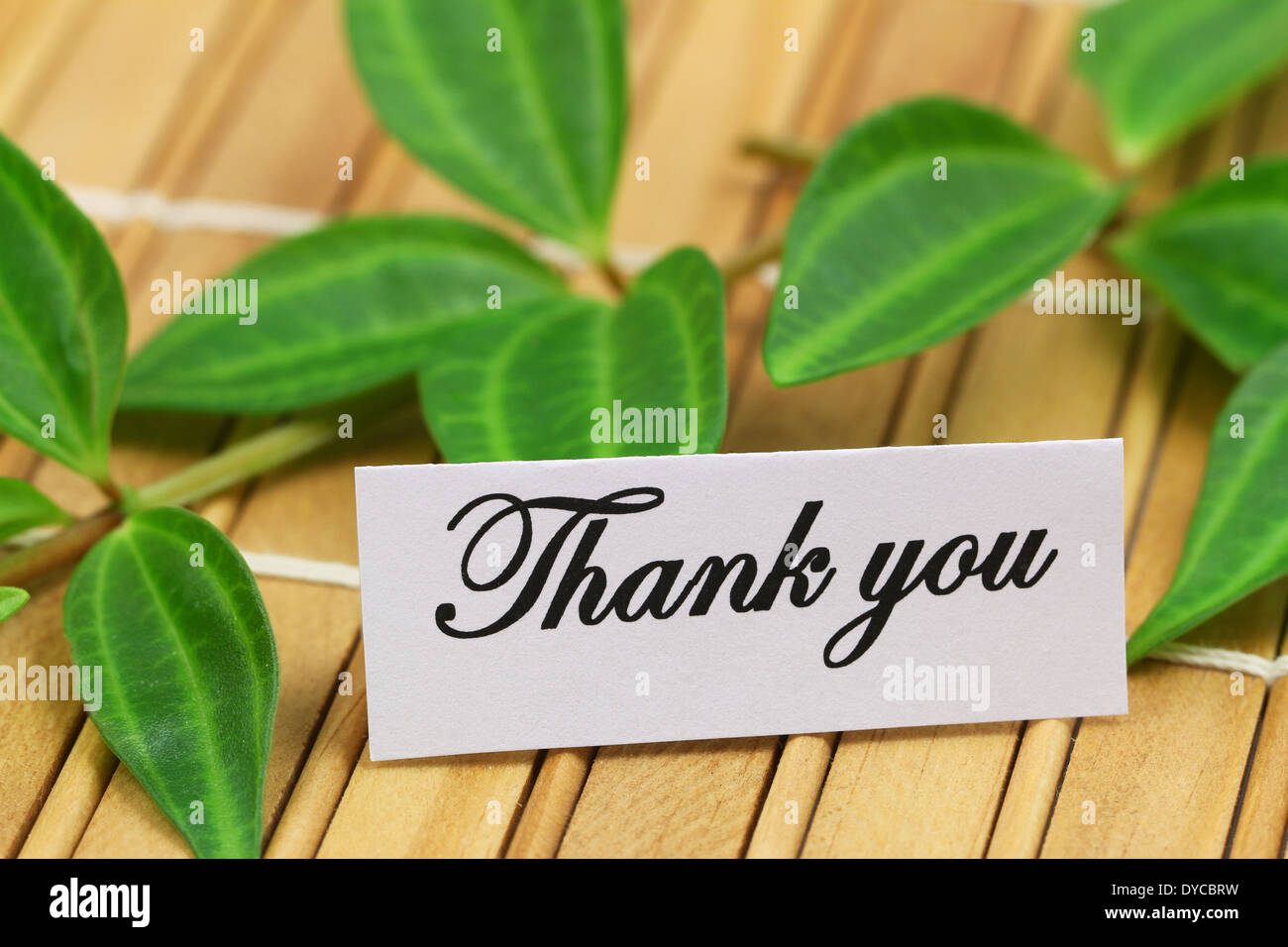 Thank you card with green leaves on bamboo mat Stock Photo - Alamy