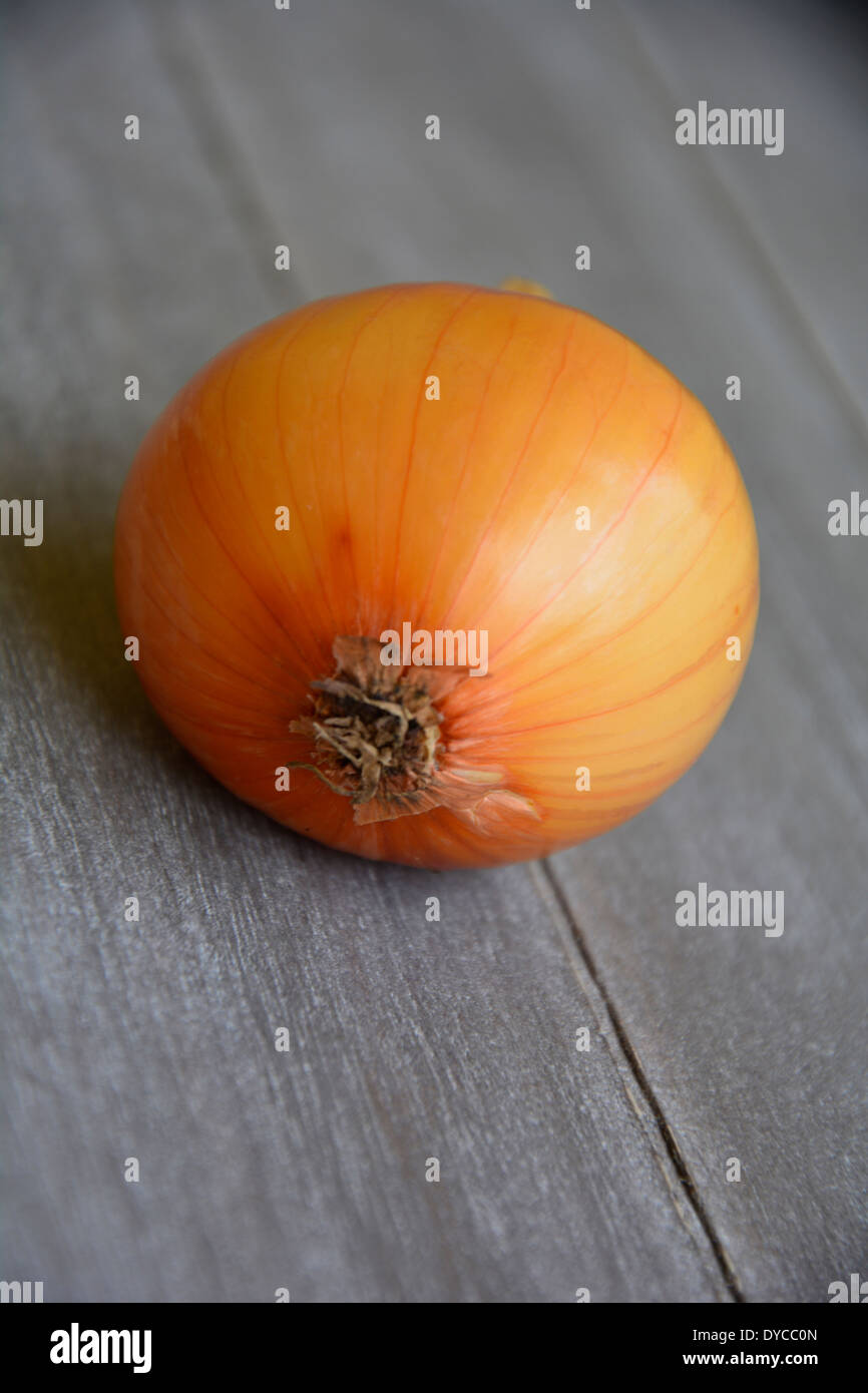 fresh yellow onion on grey wooden table background tabletop macro close-up eine ganze gelbe Zwiebel auf einem grauen Holztisch Stock Photo