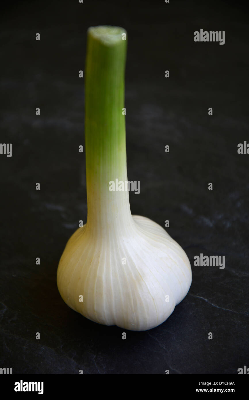Grey blackground hi-res stock photography and images - Alamy