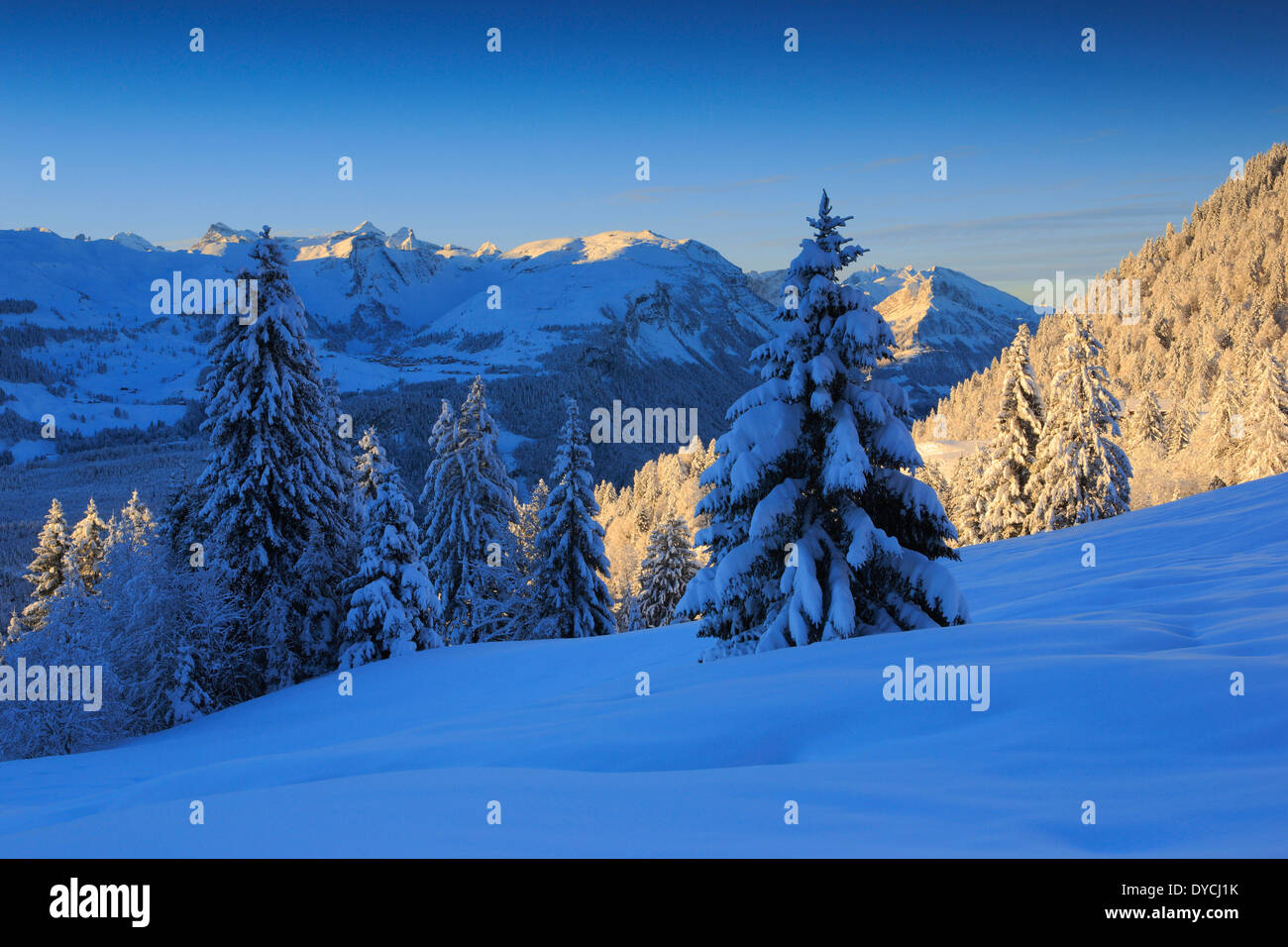 Alps Alpine panorama view mountain mountains trees spruce spruces mountains summits peaks cold Mythen area panorama snow Sw Stock Photo