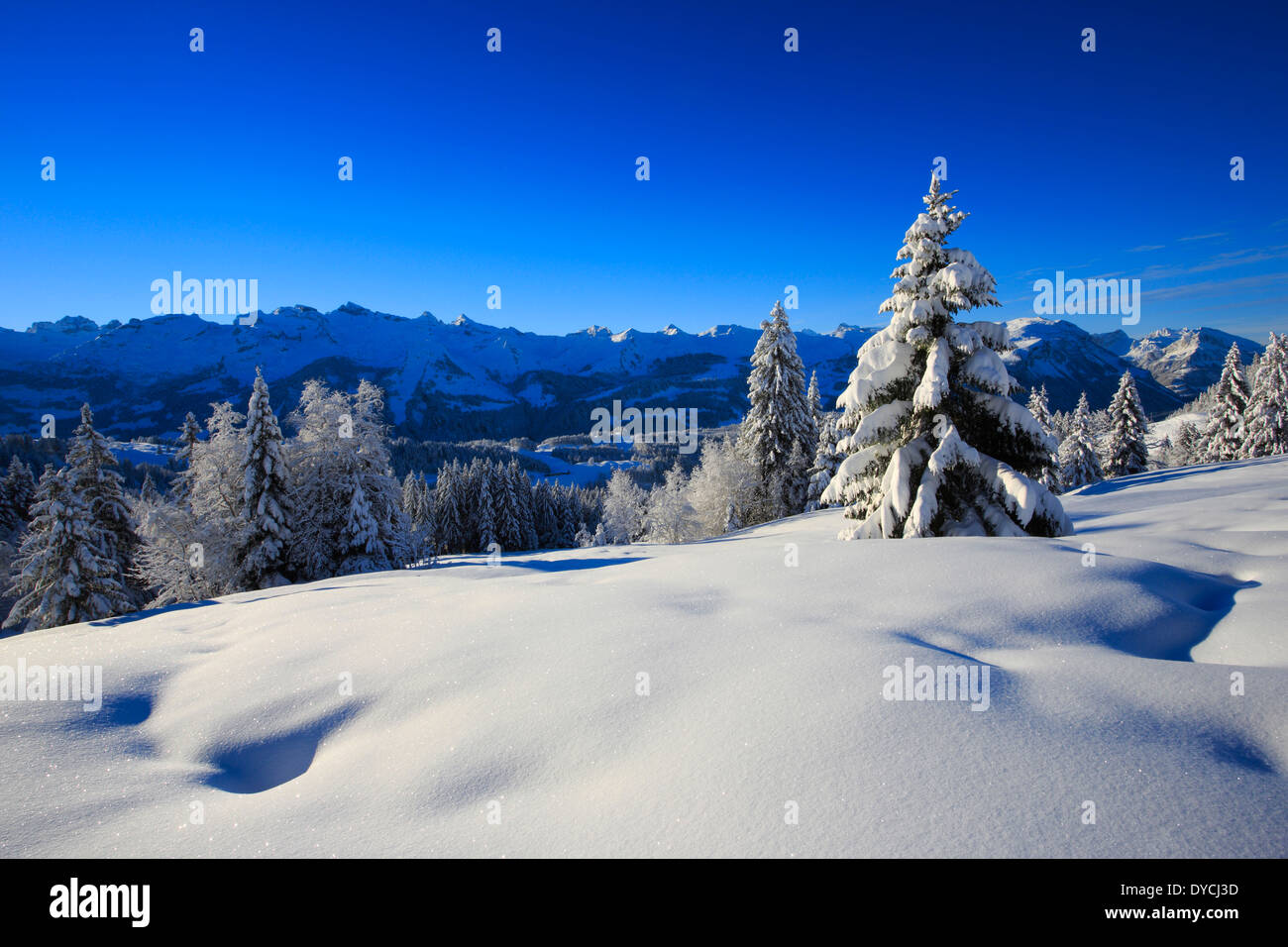 Alps Alpine panorama view mountain mountains trees spruce spruces mountains summits peaks cold Mythen area panorama snow Sw Stock Photo