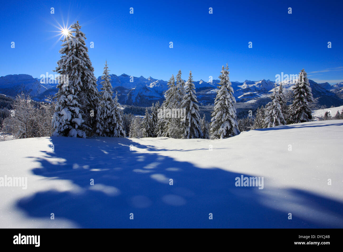 Alps Alpine panorama view mountain mountains trees spruce spruces mountains summits peaks cold Mythen area panorama snow Sw Stock Photo