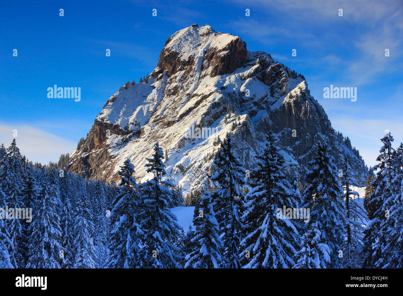 Alps Alpine panorama alpine valley view mountain mountains massif mountain panorama trees spruce spruces mountains summits pe Stock Photo